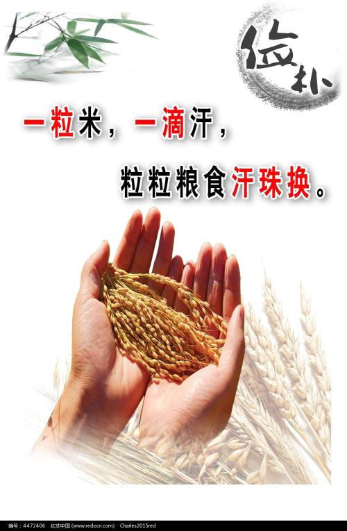 美国appleid如何填写付款信息